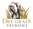 Dry Grass Spinone